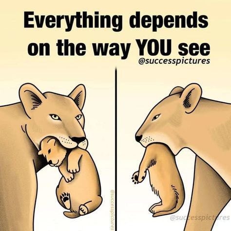 “Illustration of a lioness carrying her cub gently in her mouth. The image is split into two panels: on the left, the lioness appears fierce and angry, which could be interpreted as harmful. On the right, the same scene is shown from a different angle, revealing that the mother is simply carrying her cub carefully by the scruff of its neck, a natural and protective behaviour. Text above reads: ‘Everything depends on the way YOU see.’ The image highlights how perspective changes interpretation.