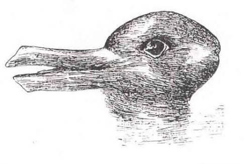 Black-and-white optical illusion drawing that can be seen as either a duck or a rabbit, depending on perspective. Facing left, the image looks like a duck with a flat bill. Facing right, the same shapes form a rabbit’s head with long ears. The ambiguous design highlights how perception can shift depending on how the viewer interprets the lines.